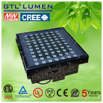 High Efficient 150W LED Canopy Light with Warm or Cool White 5 years